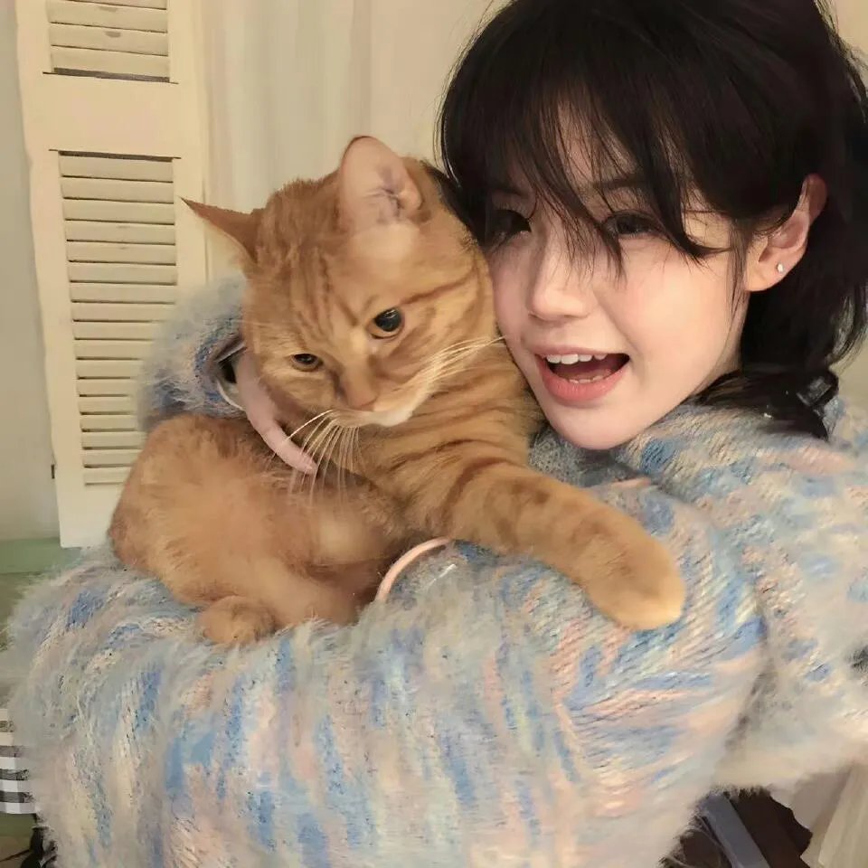 冰河世纪：猛犸象的圣诞
